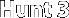 Hunt 3
