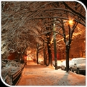 PhinallySnow